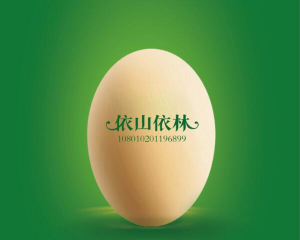 依山依林鸡蛋系列推广之一：疯狂的鸡蛋