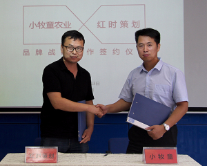 江西小牧童公司与红时策划品牌战略合作在郑州签约