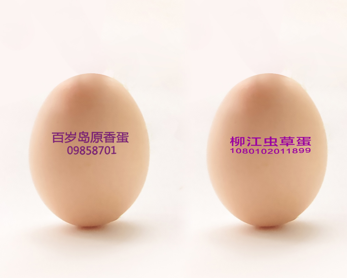 品牌鸡蛋仅仅是“有了喷码”这么简单吗？